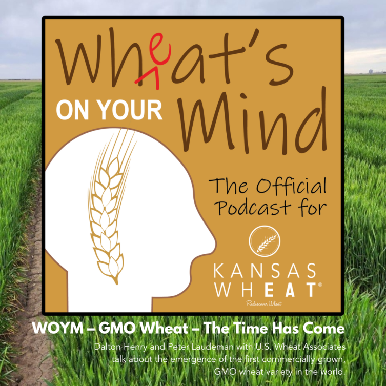 What 's on your mind is the official podcast for kansas wheat