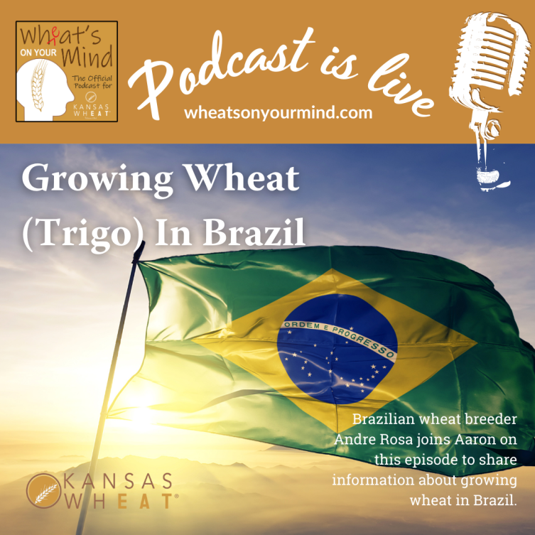 A poster for a podcast about growing wheat in brazil