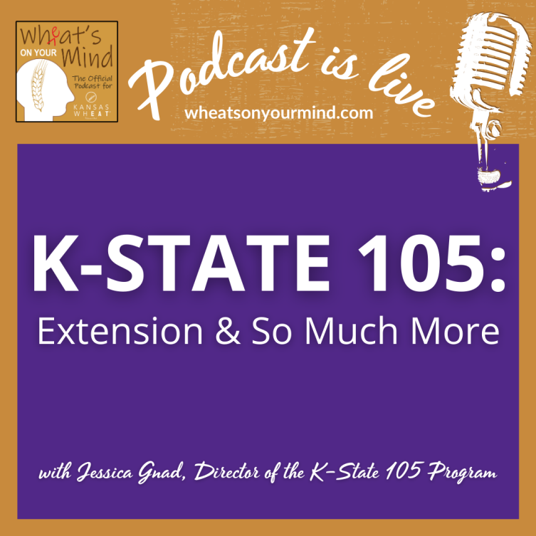 A podcast is live for k-state 105 extension and so much more
podcast for kansas wheat agriculture