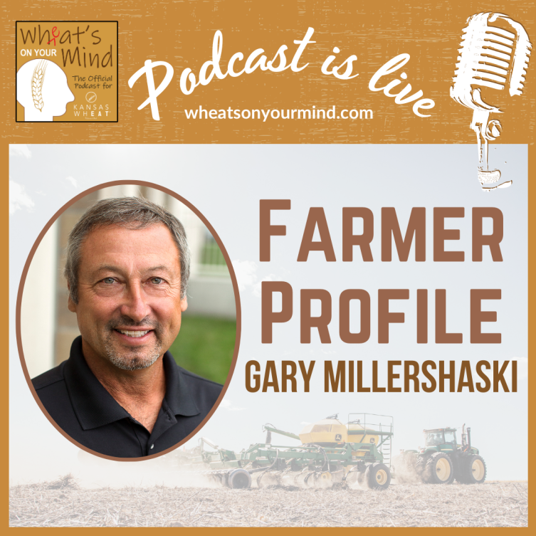 A poster that says podcast is live farmer profile gary millershaski
podcast for kansas wheat agriculture