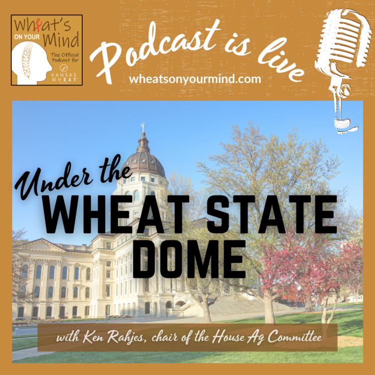 A poster that says podcast is live under the wheat state dome
podcast for kansas wheat agriculture