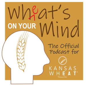 Wheat 's On Your Mind is the official podcast for Kansas Wheat