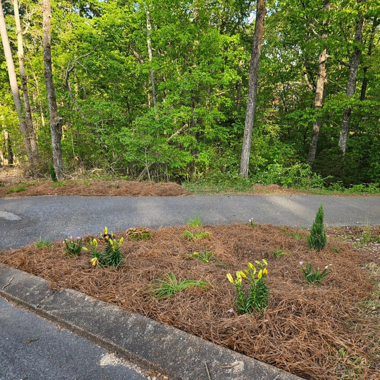 Hamilton Landscaping, Lafayette GA, Winwood Forest LaFayette GA, Rock Spring GA, Chickamauga GA, Fairview GA, Rossville GA, White Oak GA, Lakeview GA, East Ridge TN, Ridgeside TN, Chattanooga TN, St Elmo Chattanooga TN, East Brainerd Chattanooga TN, East Lake Chattanooga TN, North Chattanooga Chattanooga TN, Hill City Chattanooga TN, Piney Woods Chattanooga TN, Highland Park Chattanooga TN, Ooltewah TN, Collegedale TN, Landscape Design, Landscape Designer Near Me, Landscaping Company Near Me, Residential Landscaping, Landscape Maintenance, Mowing, Mulch Bed, Retaining Wall Installation, Retaining Wall Repair, Patio Installation, Patio Repair, Sidewalk Installation, Sidewalk Repair, Shrub Trimming, Fertilization, Sod Installation, Irrigation Installation, Planting, Seeding, Edging, Paver Installation, Pressure Washing Patios, Lafayette Landscape Design, Rock Spring Landscape Design, Chickamauga Landscape Design, Fairview Landscape Design, Rossville Landscape Design, White Oak Landscape Design, Lakeview Landscape Design, East Ridge Landscape Design, Ridgeside Landscape Design, Chattanooga Landscape Design, Ooltewah Landscape Design, Collegedale Landscape Design