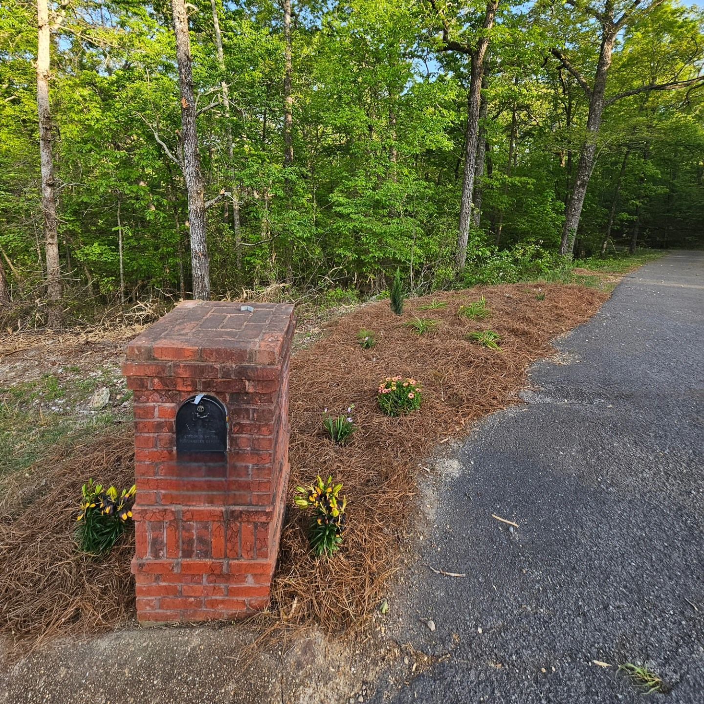 Hamilton Landscaping, Lafayette GA, Winwood Forest LaFayette GA, Rock Spring GA, Chickamauga GA, Fairview GA, Rossville GA, White Oak GA, Lakeview GA, East Ridge TN, Ridgeside TN, Chattanooga TN, St Elmo Chattanooga TN, East Brainerd Chattanooga TN, East Lake Chattanooga TN, North Chattanooga Chattanooga TN, Hill City Chattanooga TN, Piney Woods Chattanooga TN, Highland Park Chattanooga TN, Ooltewah TN, Collegedale TN, Landscape Design, Landscape Designer Near Me, Landscaping Company Near Me, Residential Landscaping, Landscape Maintenance, Mowing, Mulch Bed, Retaining Wall Installation, Retaining Wall Repair, Patio Installation, Patio Repair, Sidewalk Installation, Sidewalk Repair, Shrub Trimming, Fertilization, Sod Installation, Irrigation Installation, Planting, Seeding, Edging, Paver Installation, Pressure Washing Patios, Lafayette Landscape Design, Rock Spring Landscape Design, Chickamauga Landscape Design, Fairview Landscape Design, Rossville Landscape Design, White Oak Landscape Design, Lakeview Landscape Design, East Ridge Landscape Design, Ridgeside Landscape Design, Chattanooga Landscape Design, Ooltewah Landscape Design, Collegedale Landscape Design