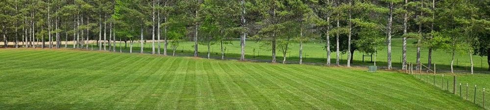 Hamilton Landscaping, Lafayette GA, Winwood Forest LaFayette GA, Rock Spring GA, Chickamauga GA, Fairview GA, Rossville GA, White Oak GA, Lakeview GA, East Ridge TN, Ridgeside TN, Chattanooga TN, St Elmo Chattanooga TN, East Brainerd Chattanooga TN, East Lake Chattanooga TN, North Chattanooga Chattanooga TN, Hill City Chattanooga TN, Piney Woods Chattanooga TN, Highland Park Chattanooga TN, Ooltewah TN, Collegedale TN, Landscape Design, Landscape Designer Near Me, Landscaping Company Near Me, Residential Landscaping, Landscape Maintenance, Mowing, Mulch Bed, Retaining Wall Installation, Retaining Wall Repair, Patio Installation, Patio Repair, Sidewalk Installation, Sidewalk Repair, Shrub Trimming, Fertilization, Sod Installation, Irrigation Installation, Planting, Seeding, Edging, Paver Installation, Pressure Washing Patios, Lafayette Landscape Design, Rock Spring Landscape Design, Chickamauga Landscape Design, Fairview Landscape Design, Rossville Landscape Design, White Oak Landscape Design, Lakeview Landscape Design, East Ridge Landscape Design, Ridgeside Landscape Design, Chattanooga Landscape Design, Ooltewah Landscape Design, Collegedale Landscape Design