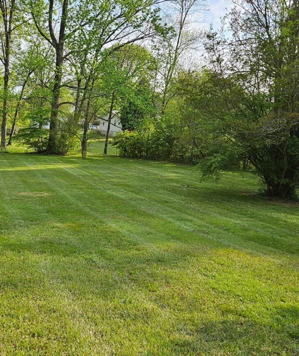 Hamilton Landscaping, Lafayette GA, Winwood Forest LaFayette GA, Rock Spring GA, Chickamauga GA, Fairview GA, Rossville GA, White Oak GA, Lakeview GA, East Ridge TN, Ridgeside TN, Chattanooga TN, St Elmo Chattanooga TN, East Brainerd Chattanooga TN, East Lake Chattanooga TN, North Chattanooga Chattanooga TN, Hill City Chattanooga TN, Piney Woods Chattanooga TN, Highland Park Chattanooga TN, Ooltewah TN, Collegedale TN, Landscape Design, Landscape Designer Near Me, Landscaping Company Near Me, Residential Landscaping, Landscape Maintenance, Mowing, Mulch Bed, Retaining Wall Installation, Retaining Wall Repair, Patio Installation, Patio Repair, Sidewalk Installation, Sidewalk Repair, Shrub Trimming, Fertilization, Sod Installation, Irrigation Installation, Planting, Seeding, Edging, Paver Installation, Pressure Washing Patios, Lafayette Landscape Design, Rock Spring Landscape Design, Chickamauga Landscape Design, Fairview Landscape Design, Rossville Landscape Design, White Oak Landscape Design, Lakeview Landscape Design, East Ridge Landscape Design, Ridgeside Landscape Design, Chattanooga Landscape Design, Ooltewah Landscape Design, Collegedale Landscape Design