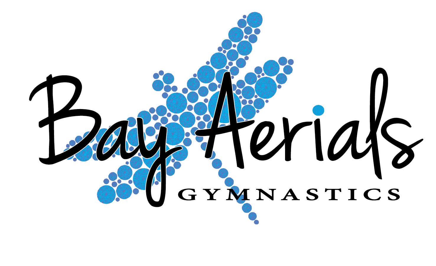 The logo for bay aerials gymnastics has a dragonfly on it.