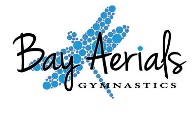 The logo for bay aerials gymnastics has a dragonfly on it.