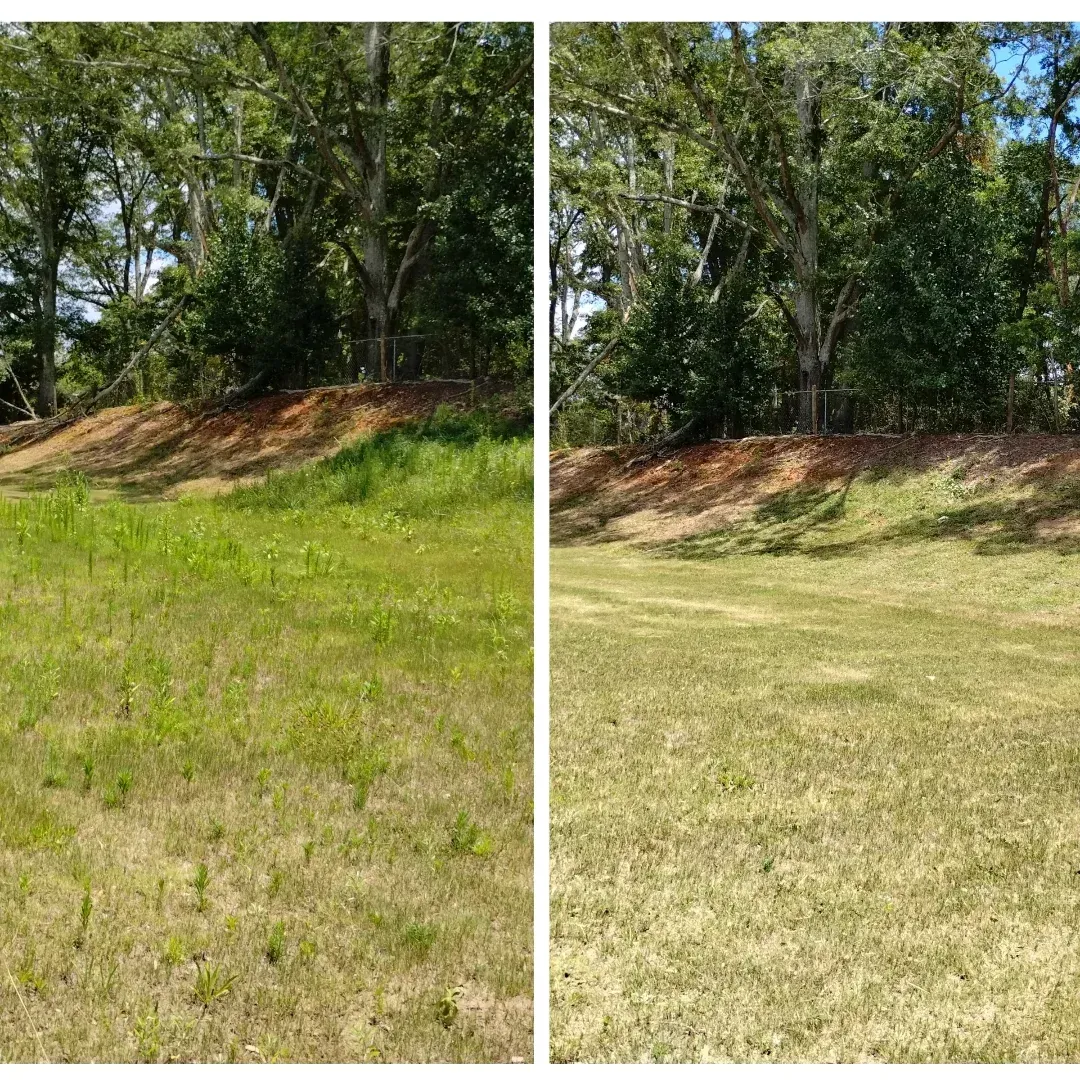 A split-screen comparison showing a grassy field before and after clearing, with a wooded area in the background.