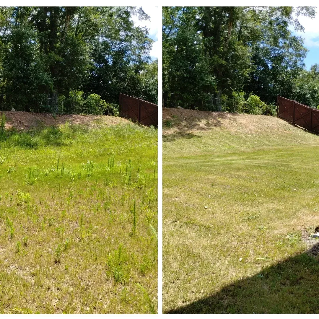 Before-and-after comparison of a backyard, showing a weedy, overgrown lawn transformed into a neatly mowed green space.
