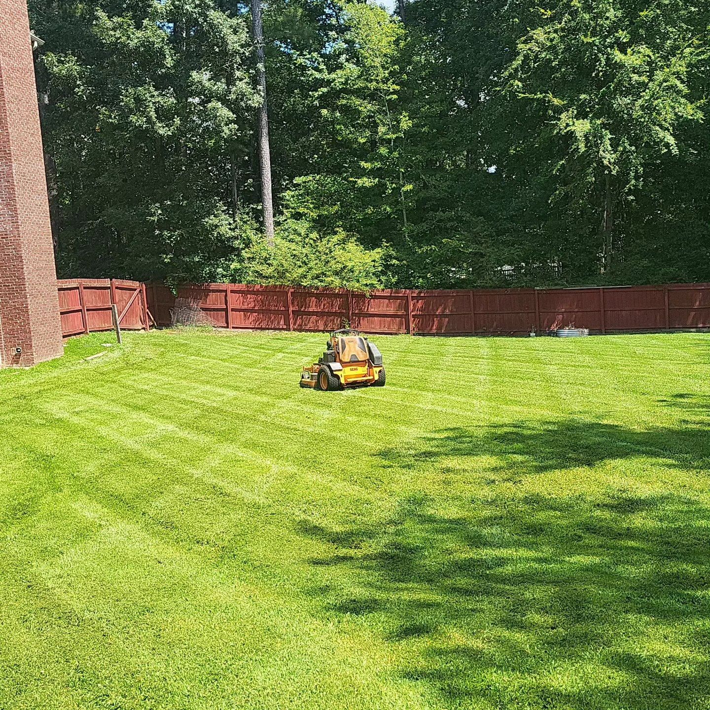 A yellow riding lawn mower cuts grass in a large backyard in front of a red wooden fence and a line of tall green trees.