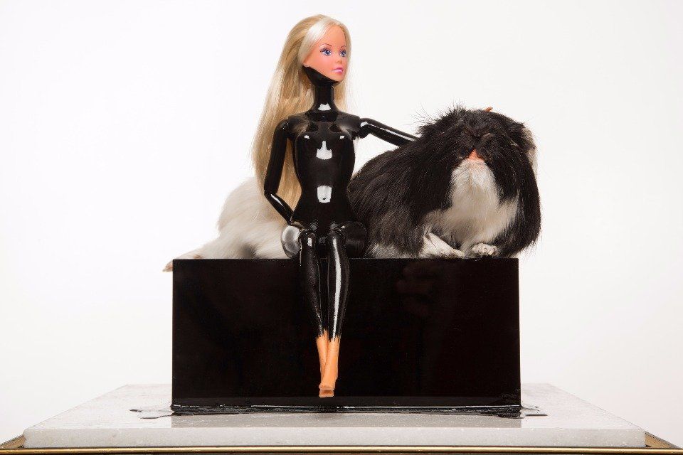 PET, taxidermy mammal, taxidermy guinea pig, London art, taxidermy art, barbie, barbie art, London taxidermy art.