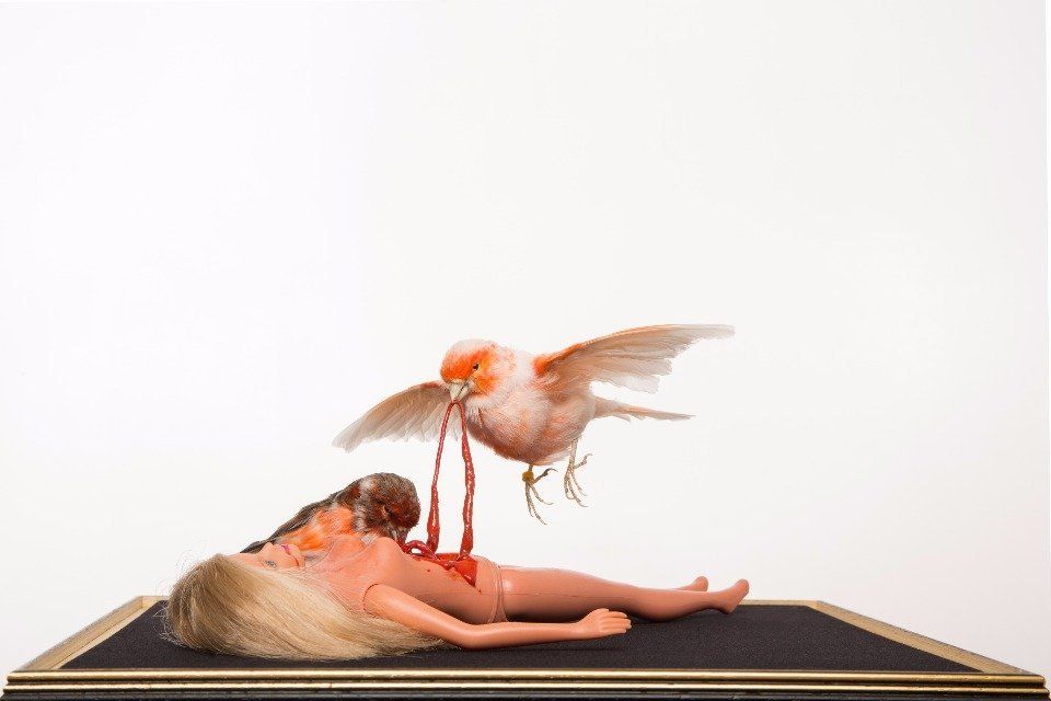 Savage II, taxidermy bird, taxidermy canary, London art, taxidermy art, barbie, barbie art, London taxidermy art.
