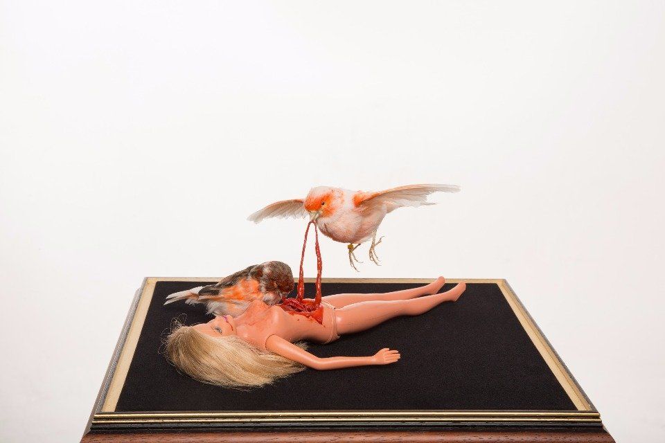 taxidermy bird, taxidermy canary, London art, taxidermy art, barbie, barbie art, London taxidermy art.