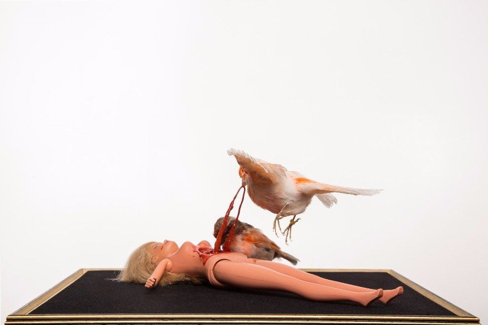 taxidermy bird, taxidermy canary, London art, taxidermy art, barbie, barbie art, London taxidermy art.