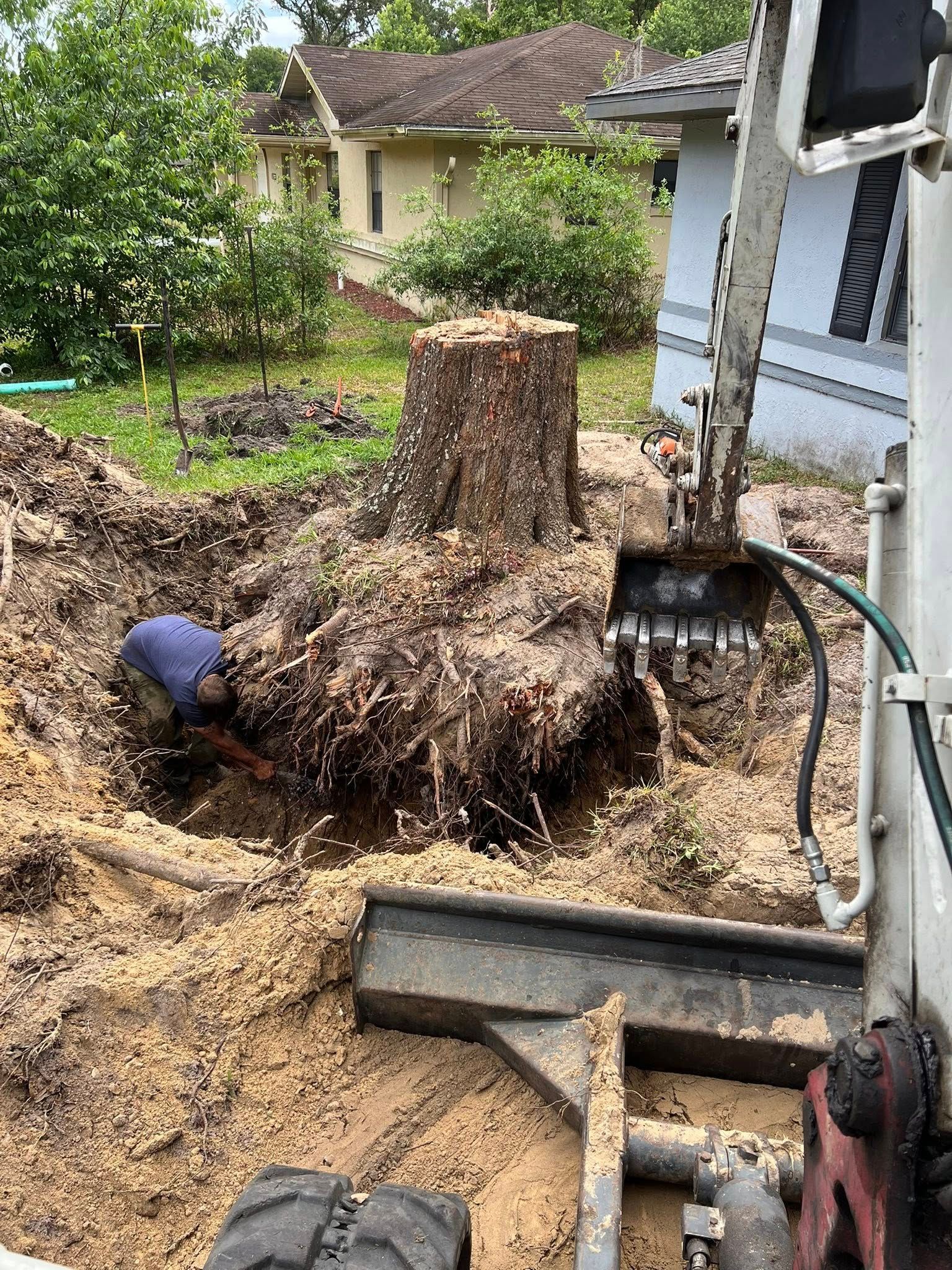 An excavator removing a tree stump in a yard, worker digging nearby.