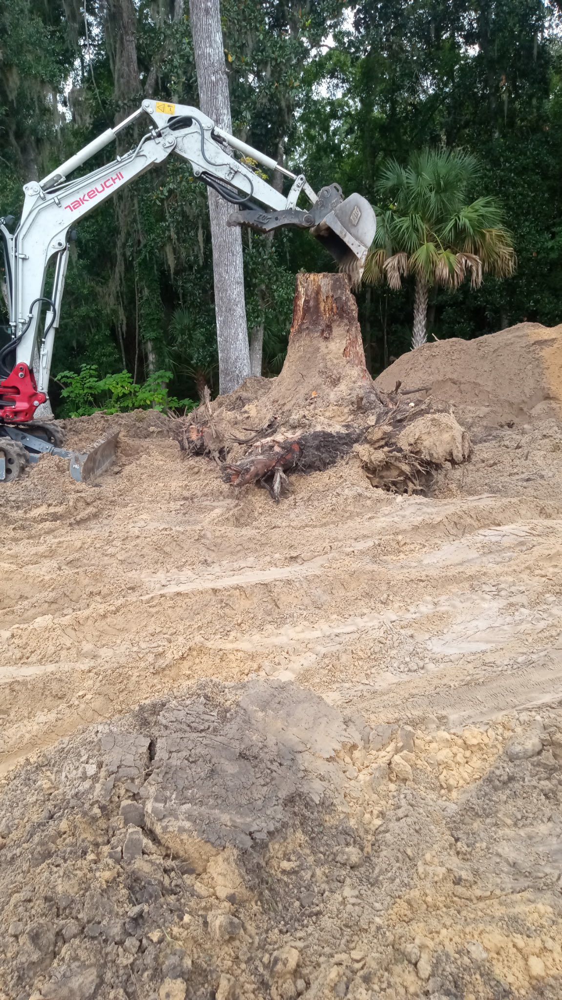 Excavator digging in dirt, trees in background.