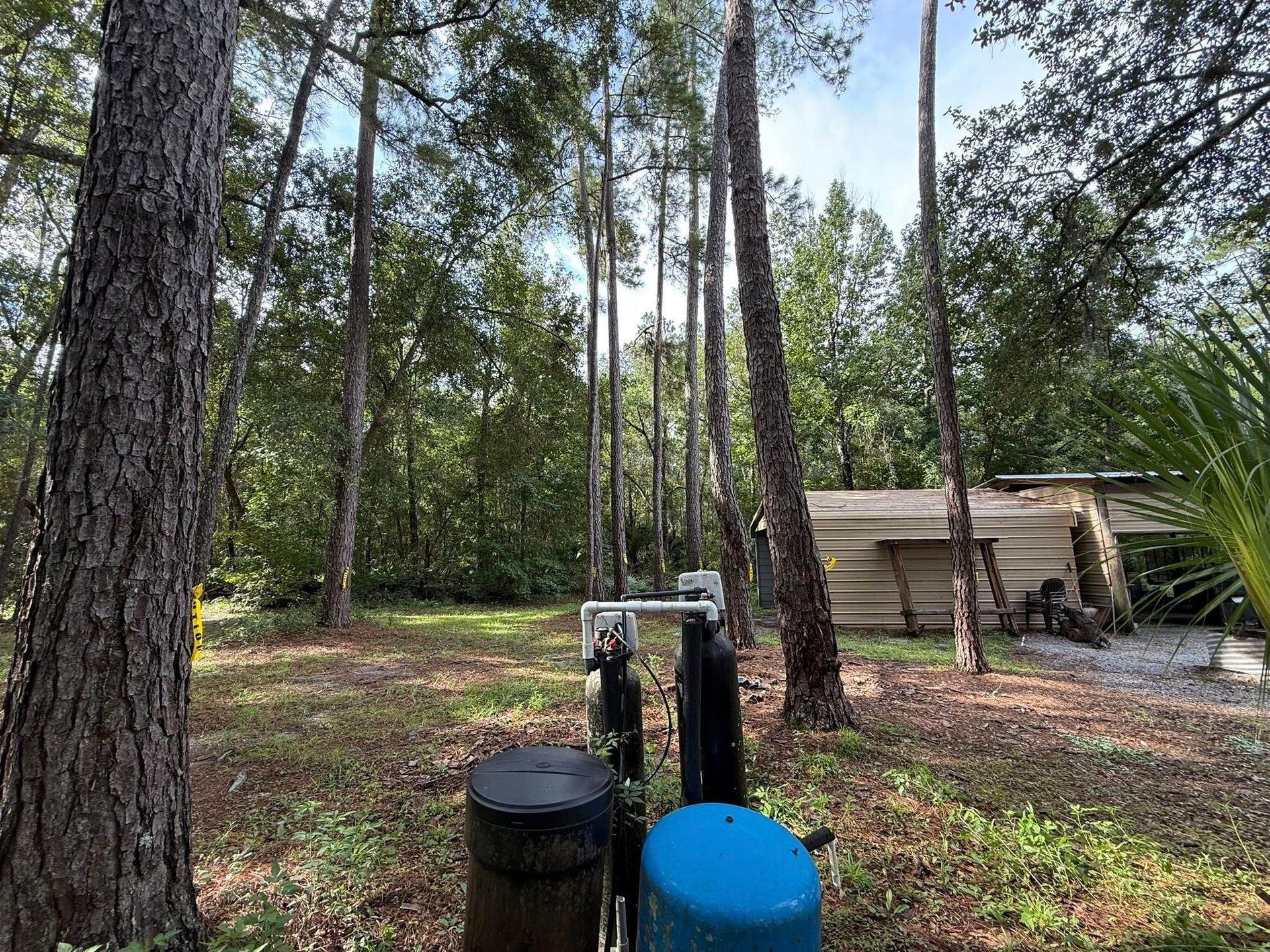 Woods with a well and storage barrels in front of a small shed.
