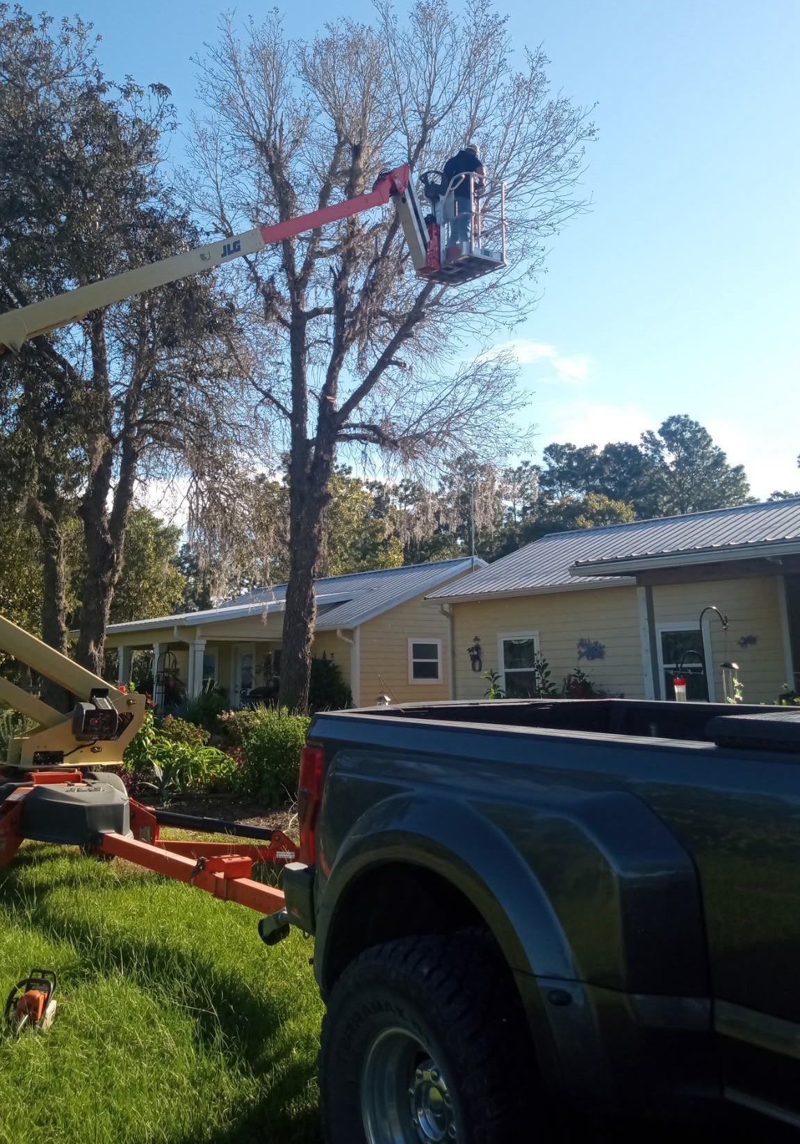 Person in lift trimming a tall tree near a house. Truck and equipment in foreground. Sunny day.