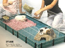 Guinea Pig Kit Cage XL – Abilene, KS – Paws-N-Claws