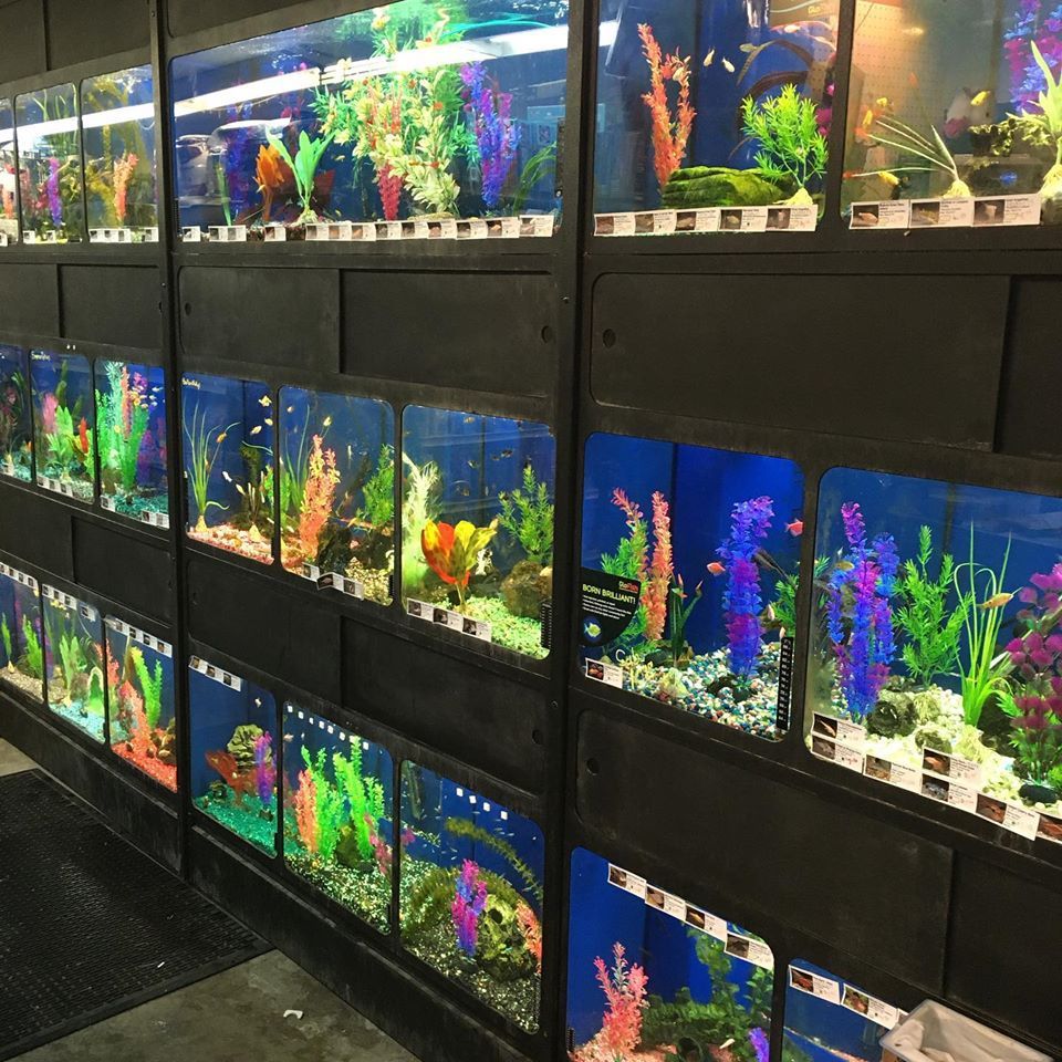 Fish Store in Hutchinson, KS, Aquarium & Fish Tank Supplies