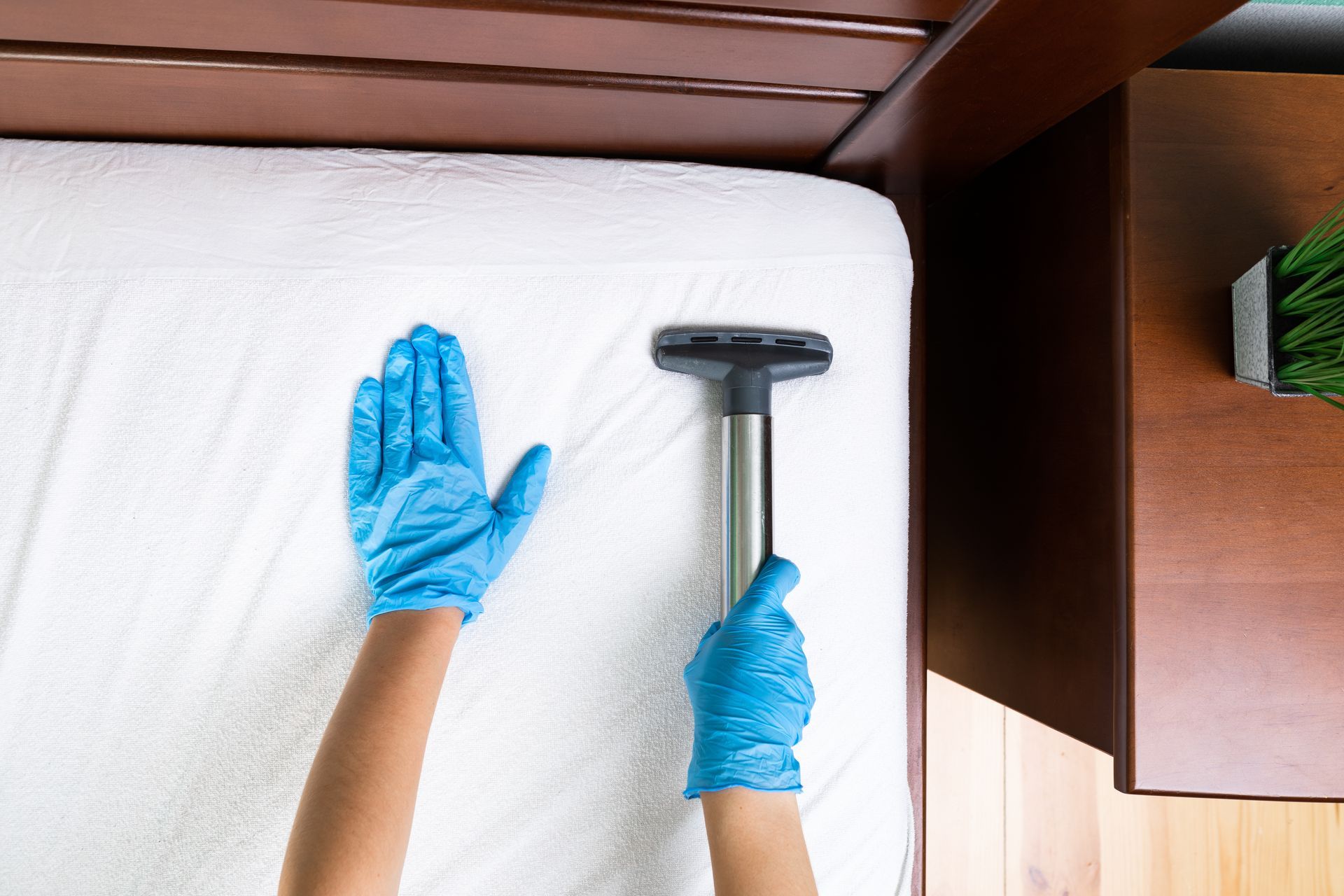 Person in blue gloves vacuums a white mattress on a wooden bed frame, bedside table visible.