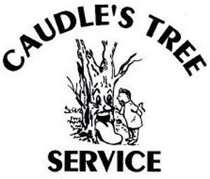 Logo: "Caudle's Tree Service" with a cartoon tree face and person, on a white background.