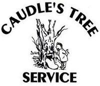 Caudle's Tree Service
