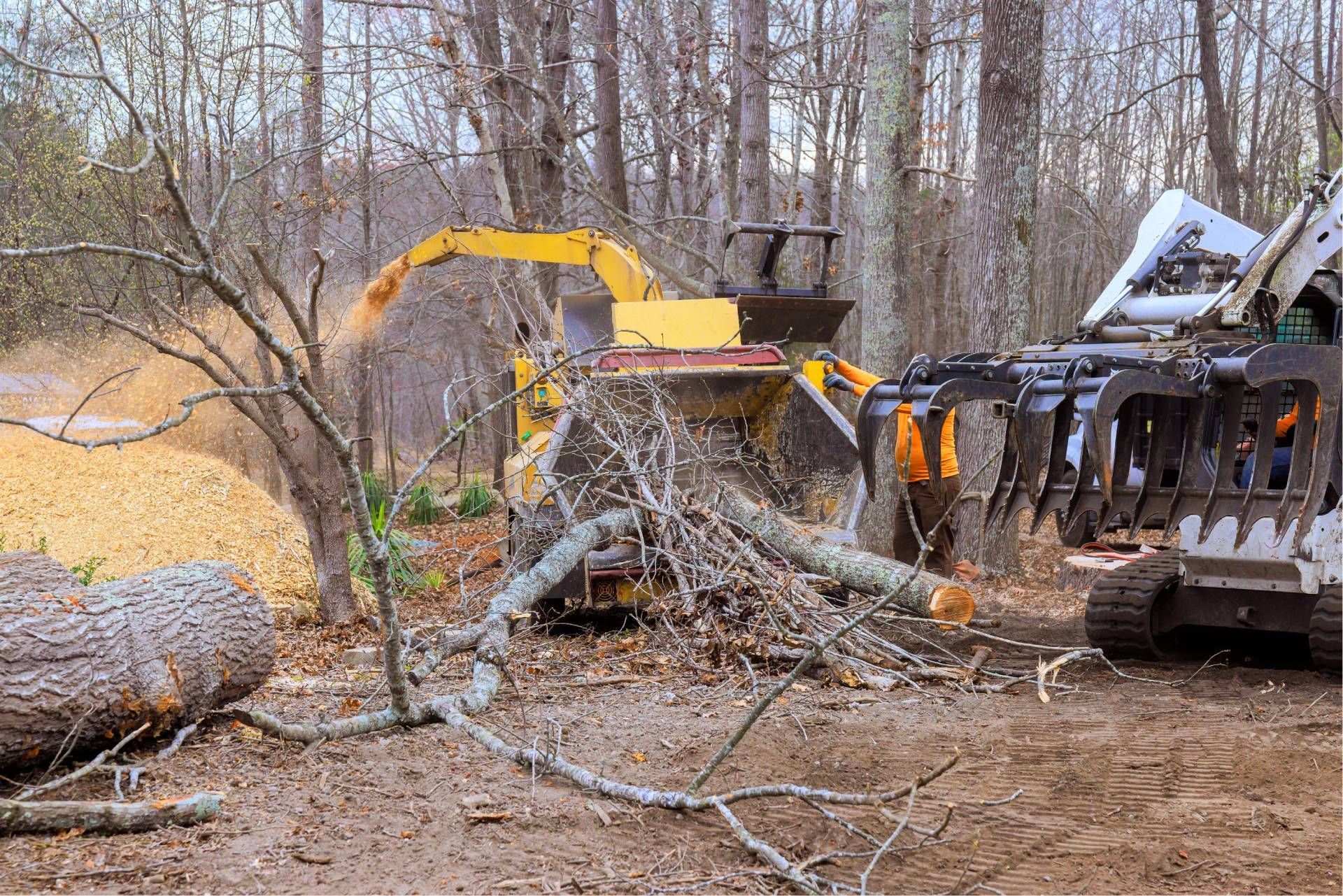 Yellow excavator clearing brush in a wooded area beside a logging machine