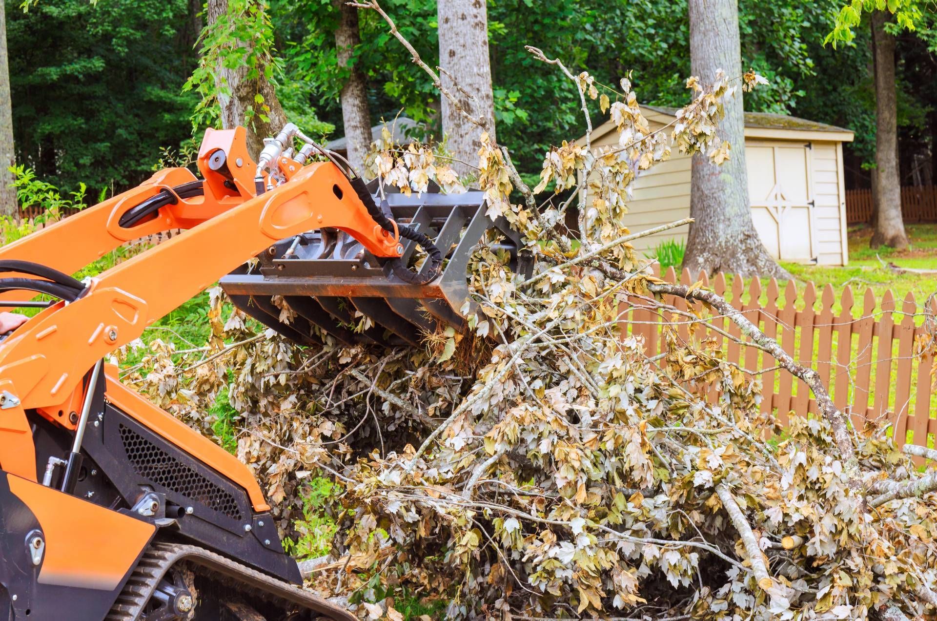 Orange skid steer clearing brush beside a white fence and house in a yard