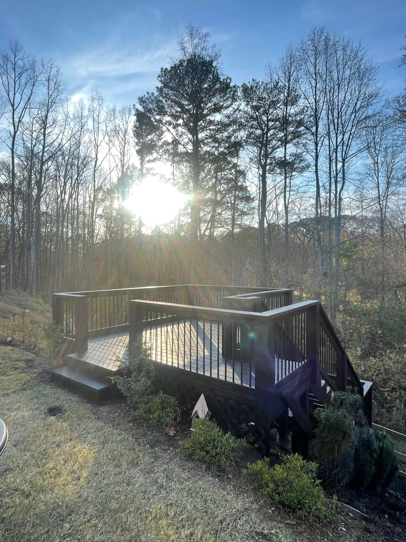 The sun is shining through the trees on a deck.