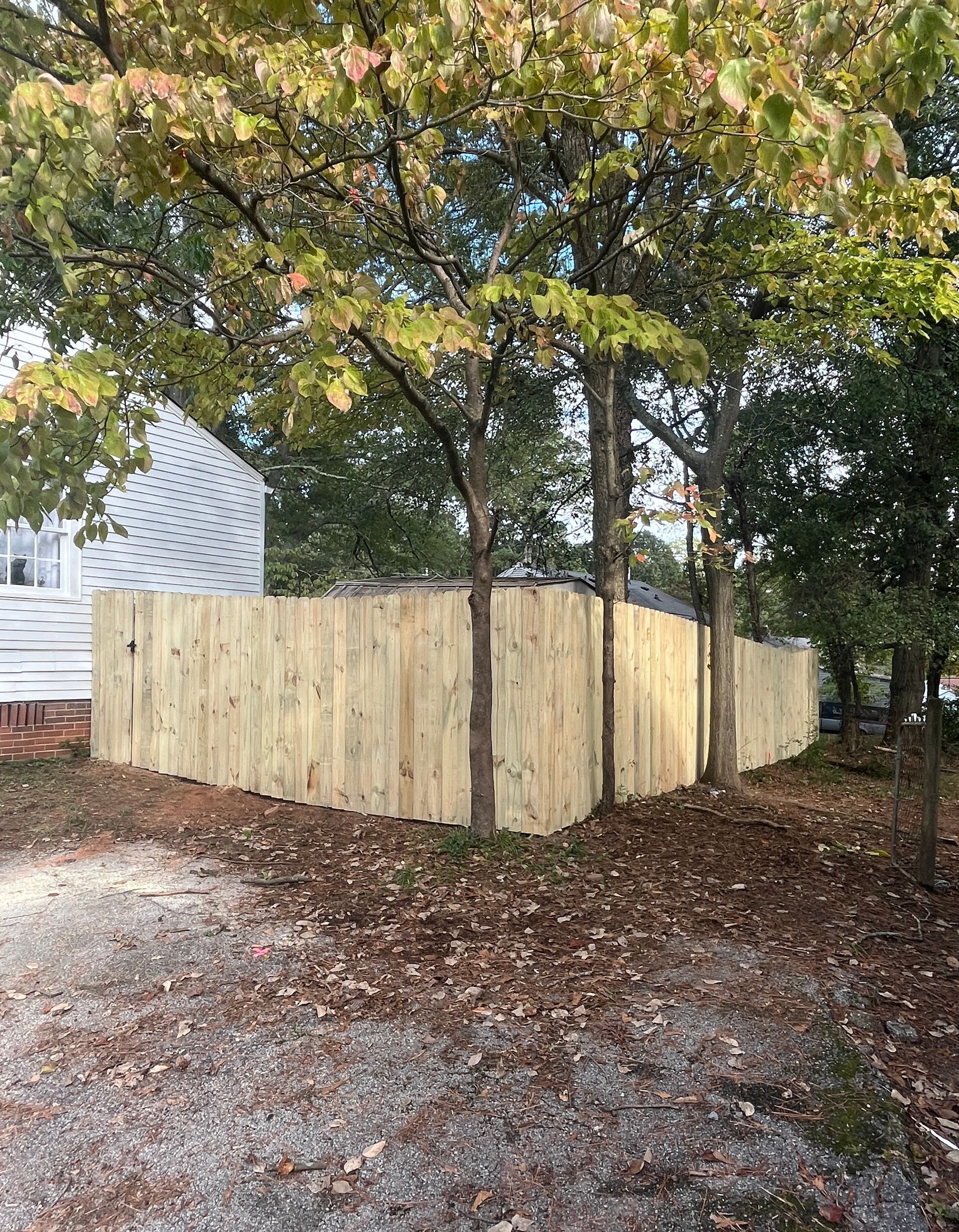 A privacy wooden fence is surrounded by trees in a yard.