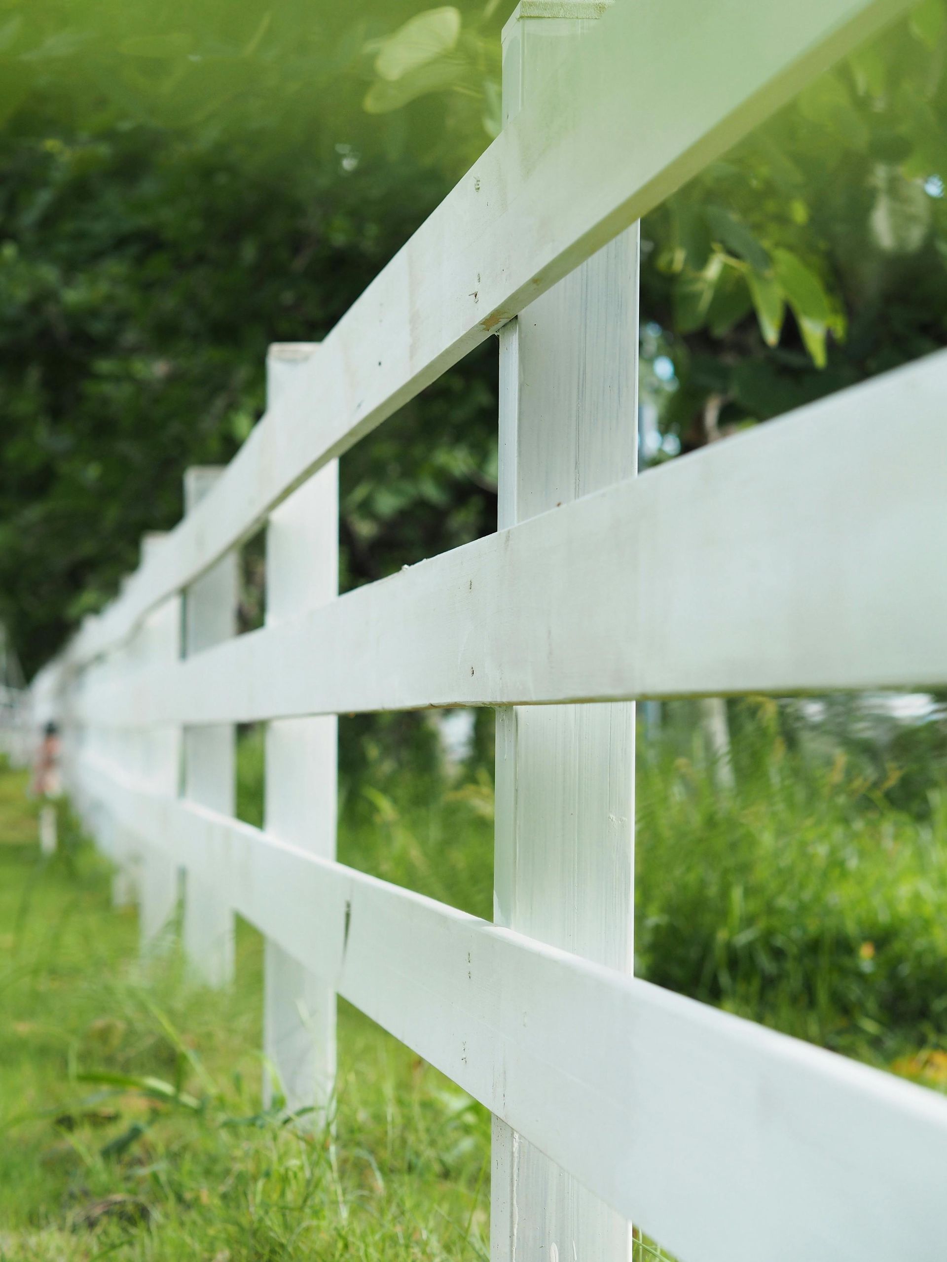 white vinyl fence