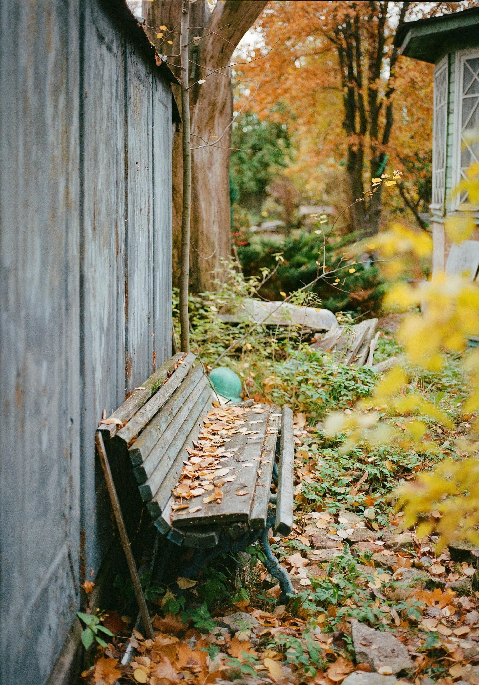 Old Fence that needs replaced