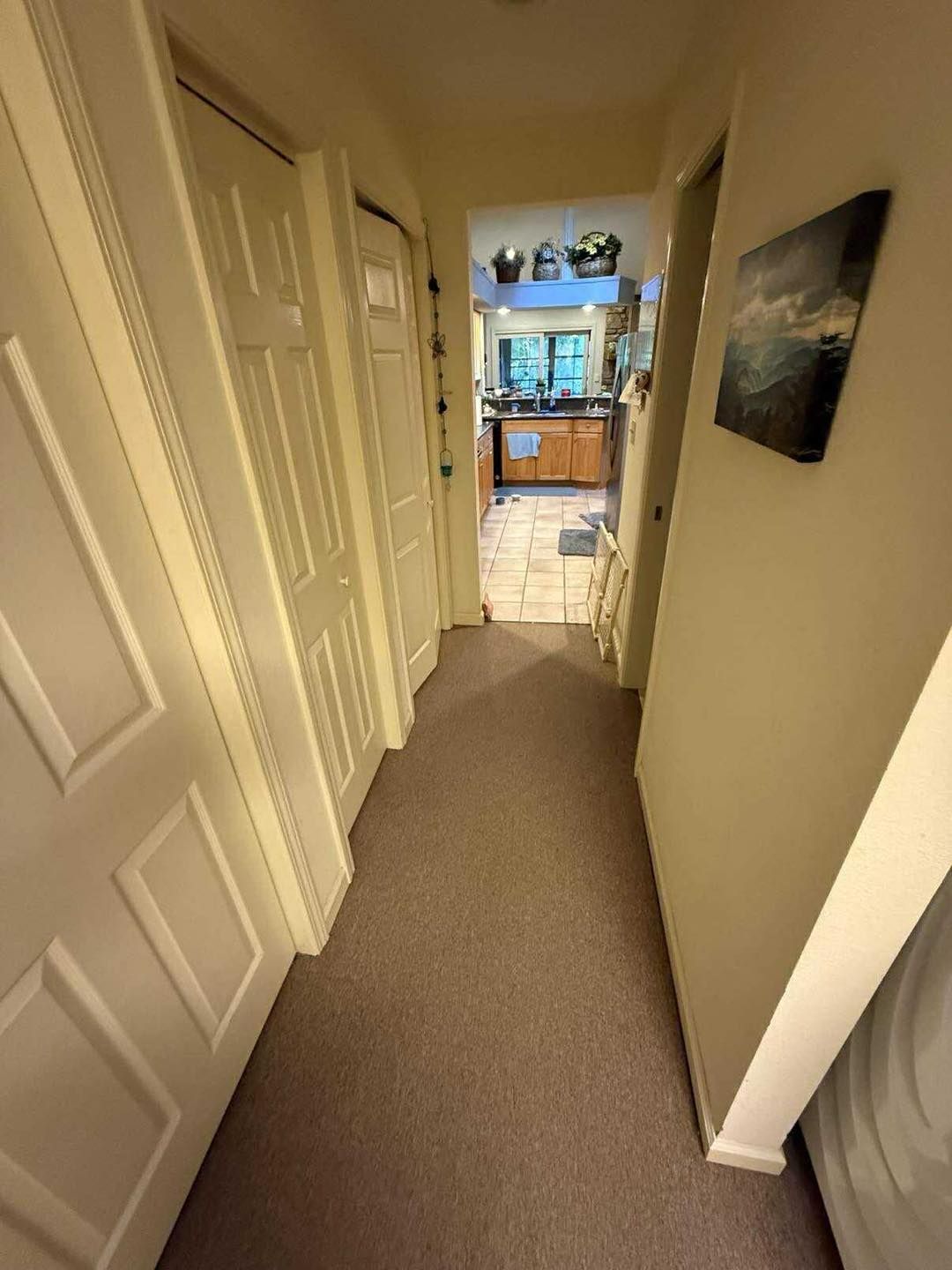 Narrow hallway with carpet and doors, leading to a kitchen with cabinets, tiles, and plants.