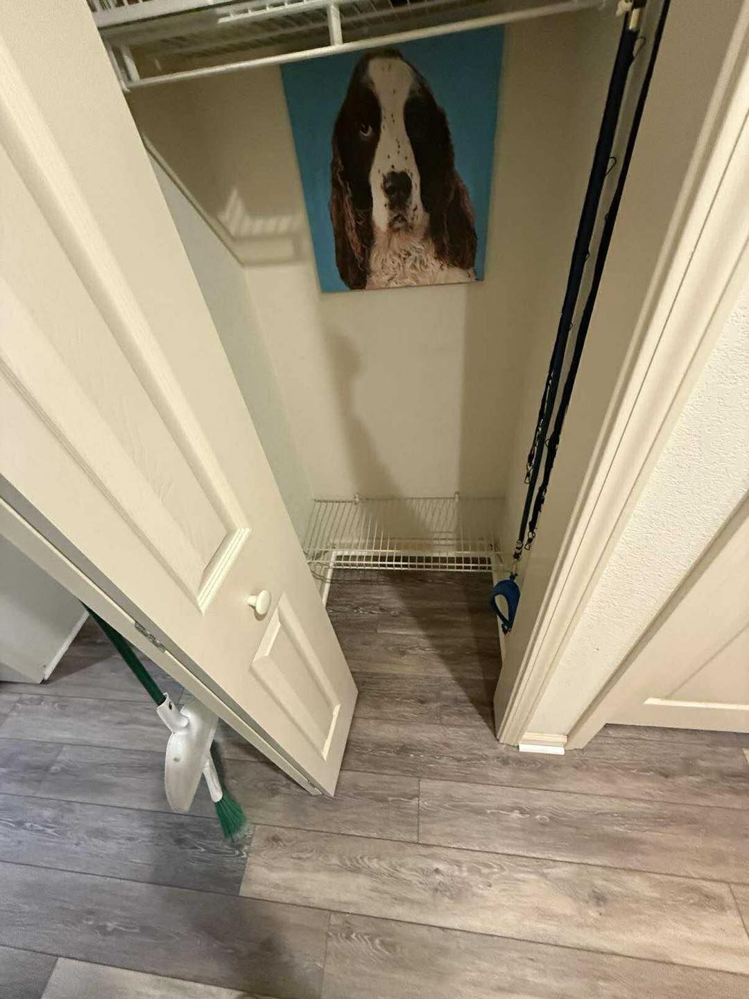 Closet with a dog portrait, leash, and light-colored flooring.