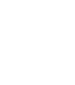 Icona – pianta