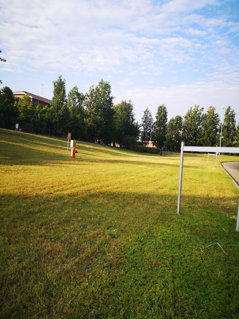area verde pubblica con alberi ad alto fusto