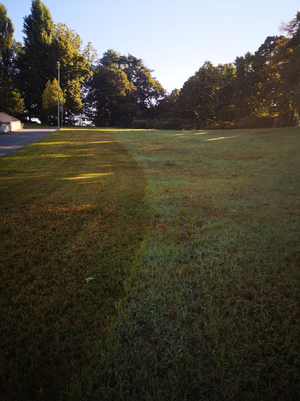 area verde pubblica con prato e alberi ad alto fusto