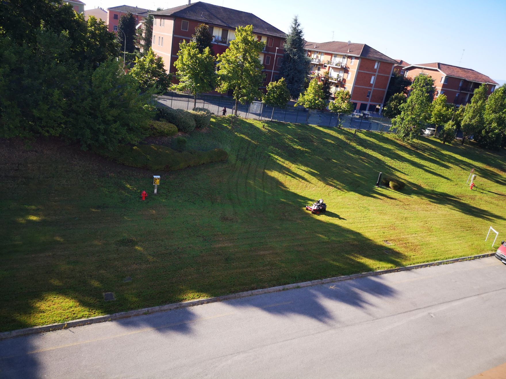 area verde pubblica con prato e alberi
