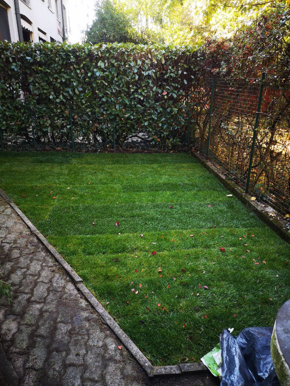 giardino con piccolo prato e siepi