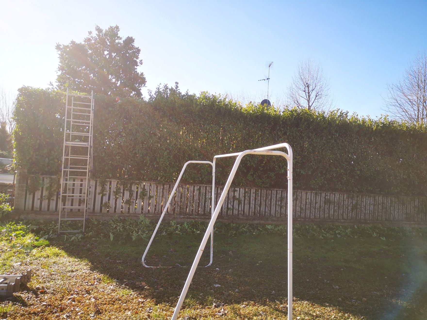campo da calcetto con siepe non curata