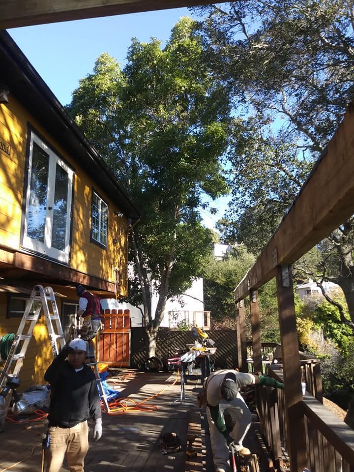 A house under construction under the trees