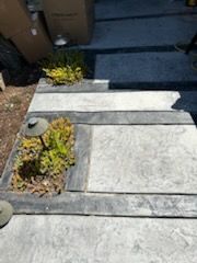 Stone steps with built-in planters. Plants in planters with a dark border.