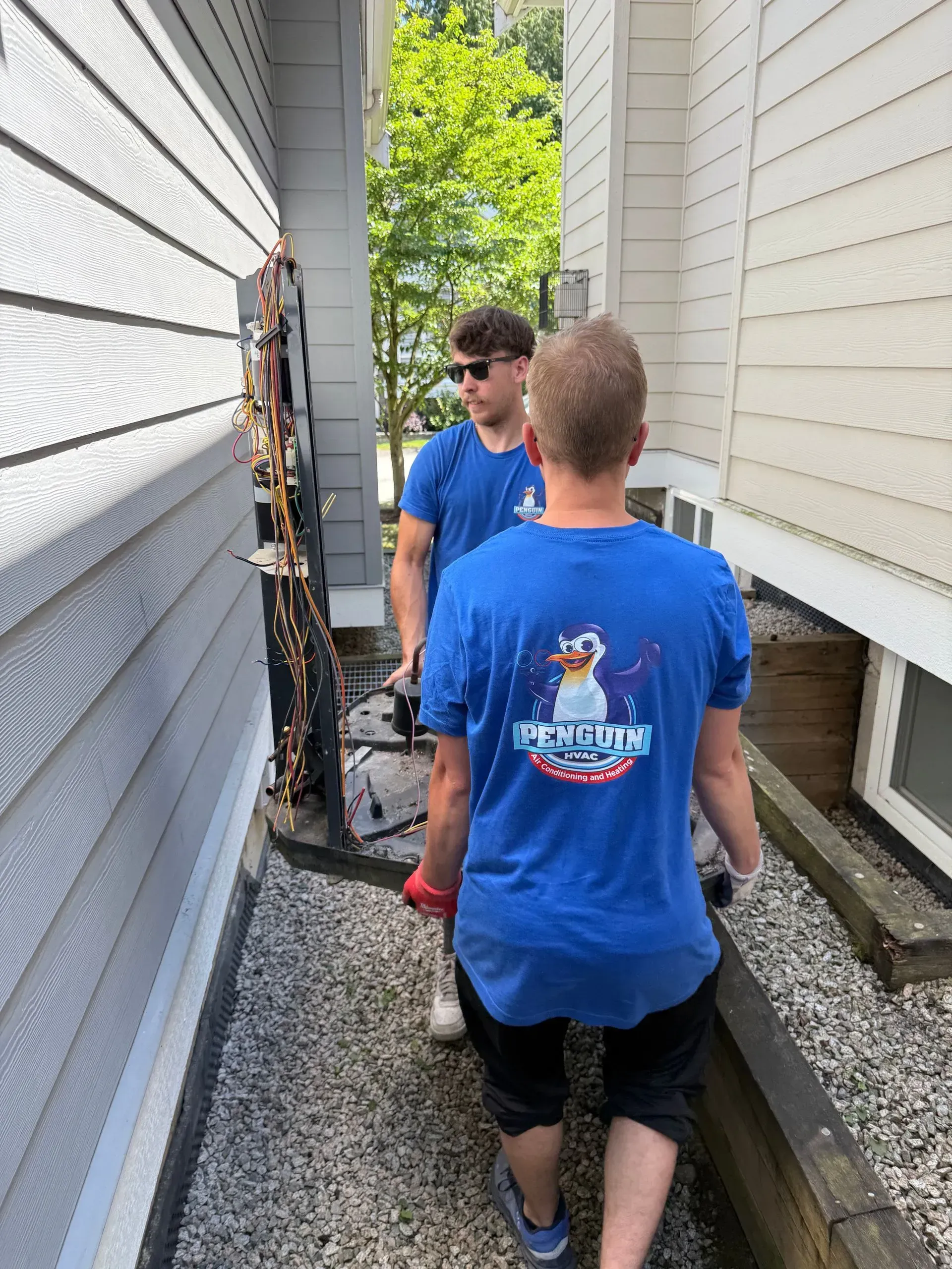 Two people in matching blue t-shirts carry a metal trellis through a narrow gravel path between two houses.