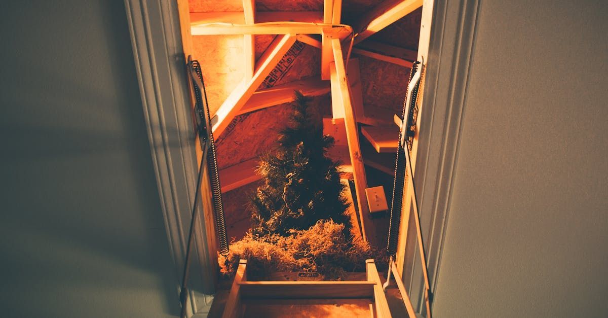 attic hatch
