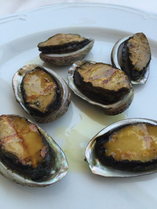 Sei pezzi di molluschi grigliati su un piatto bianco, dorati e serviti nei loro gusci.