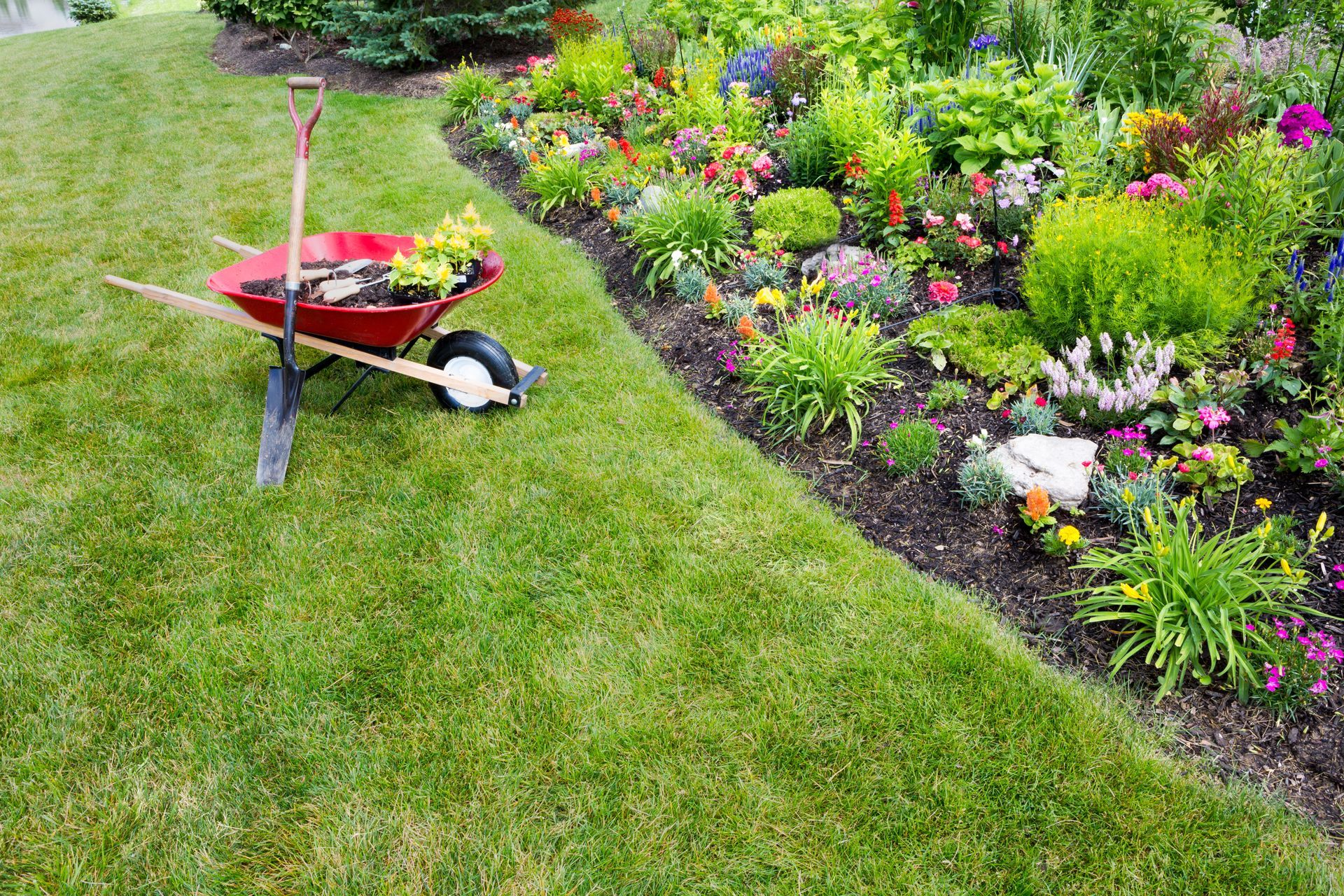 Red wheelbarrow and garden tools on a lawn beside a colorful flower bed.