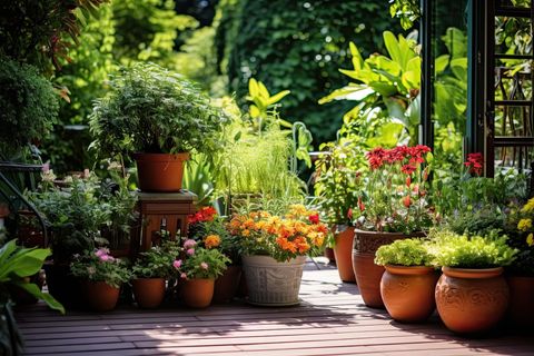 Sunlit patio garden with potted flowers and lush green plants on a brick floor