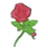 Red rose with a green stem and leaves on a white background